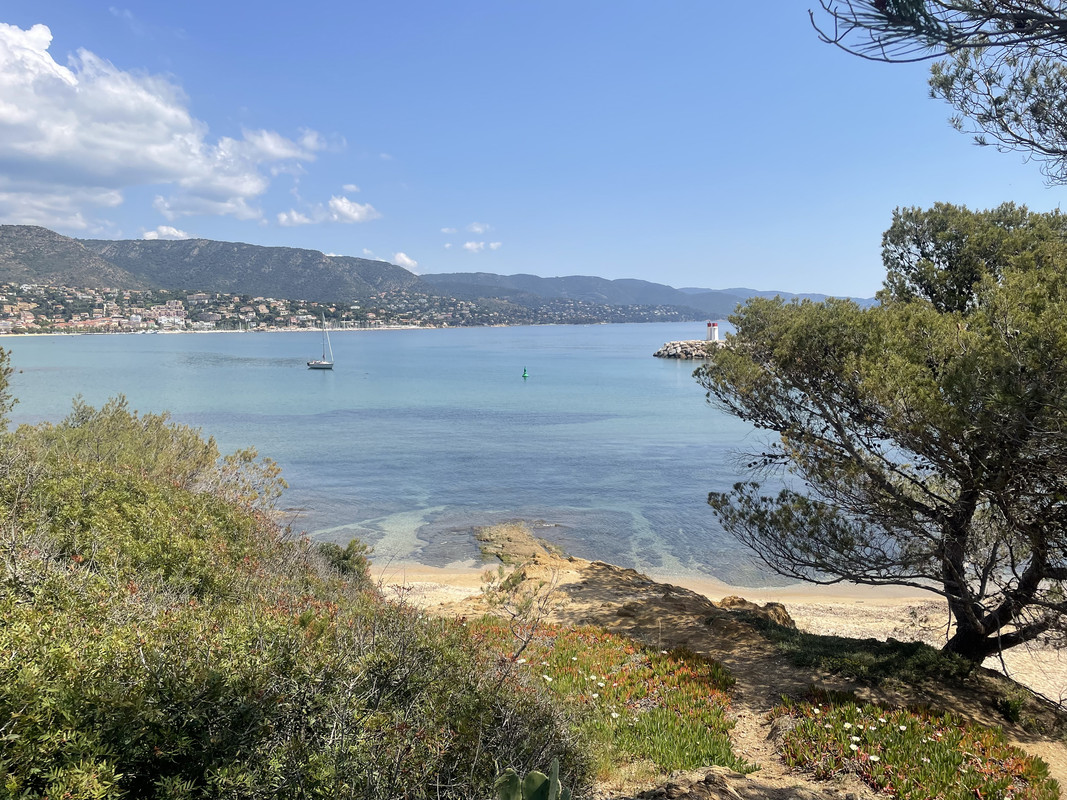 1E3F8DE1-D30B-4E04-93DC-EC36BA53D976