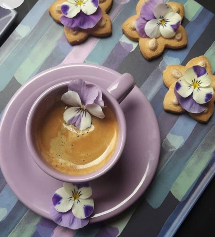 Screenshot_20230124_002003_Chrome