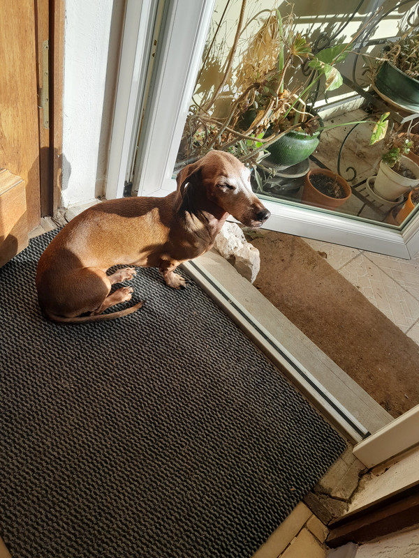 [Image: 20240126-140338.jpg]