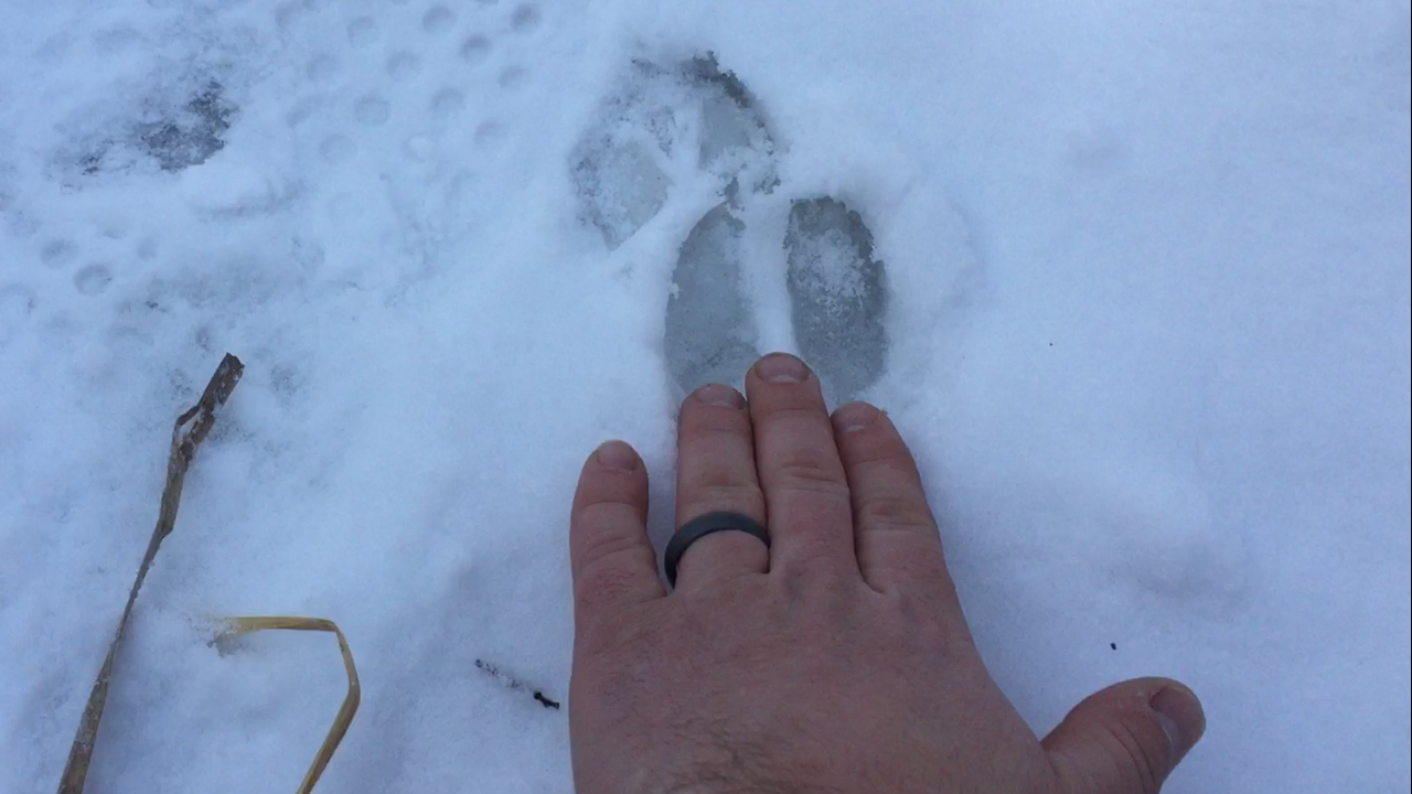 00BE364F-F528-4314-9BCA-3CC9CD1F4FFD