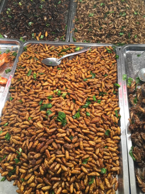 FE74F49C-FCAD-4D83-9486-3AE8063078BA