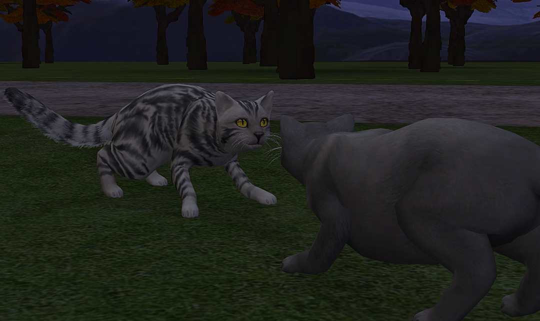 Greenshot_2025-07-17_18_08_15