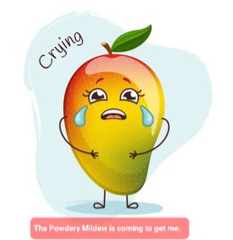 cute-mango-character-crying-emoji-260nw-2006760566