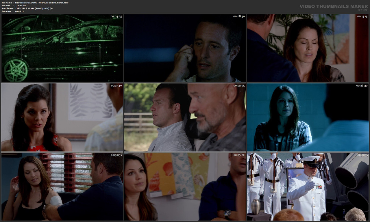 Hawaii Five-O S04E05 Two Doves and Mr. Heron.mkv