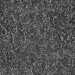 Carpet_Gray
