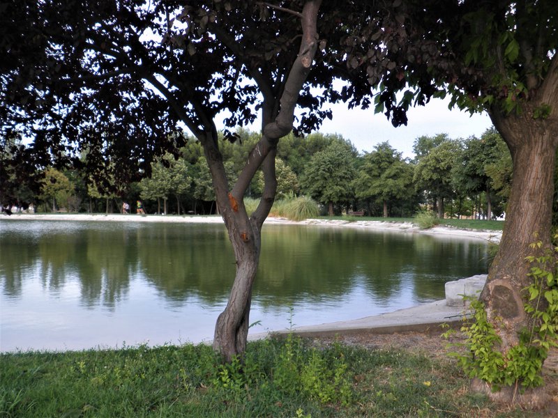 PARQUE ENRIQUE TIERNO GALVAN-2013 AL 2017-MADRID - Paseando por España-1991/2017 (32)