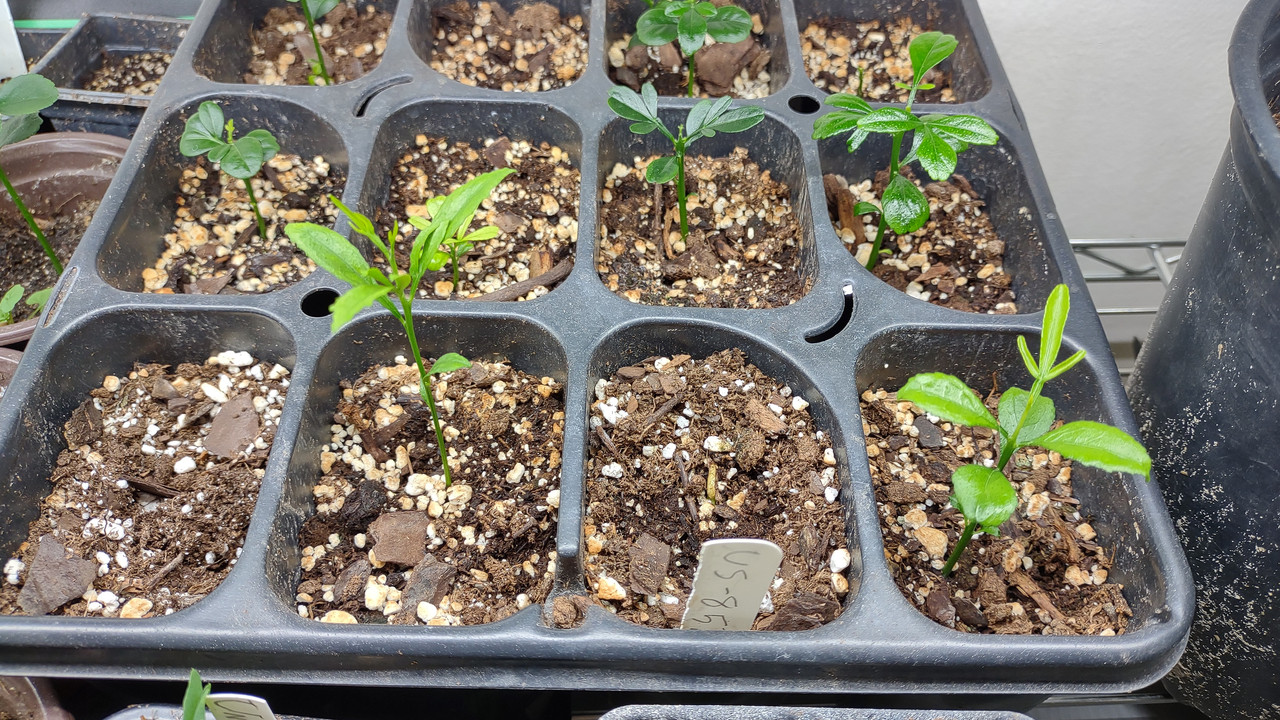 IMG_20240329_202152498_HDR