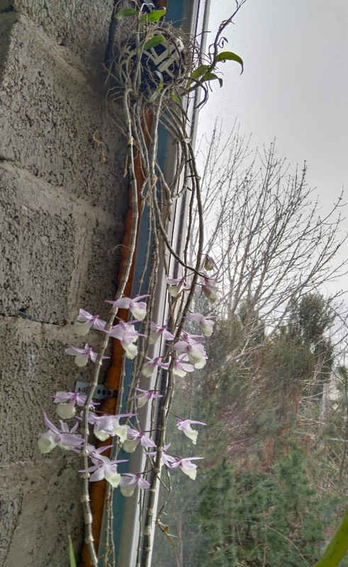 5b61d8b2-245b-4cbc-9475-35e4deae7311 (2)