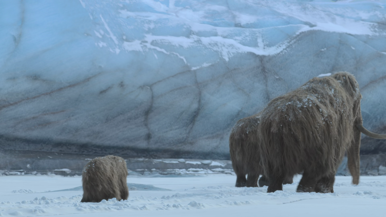 vlcsnap 2025 11 26 03h03m49s477