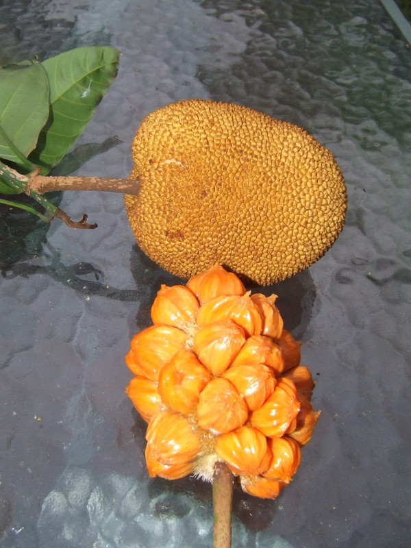 DSCF5657