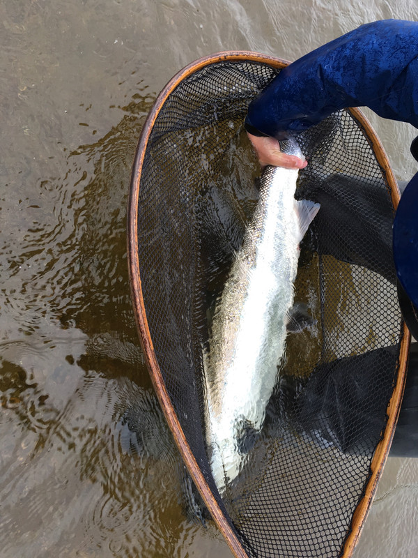 3C1B2CC4-008B-4180-BBAC-75E372DE0997