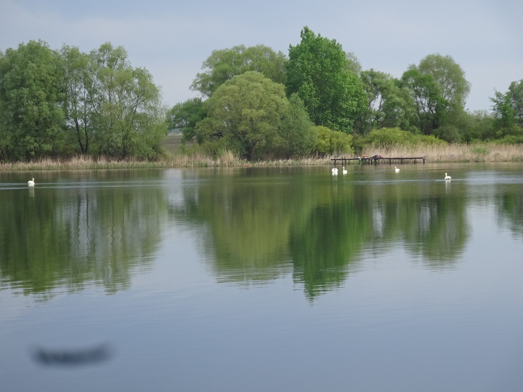 Пруды и коммерческие водоемы воронежской