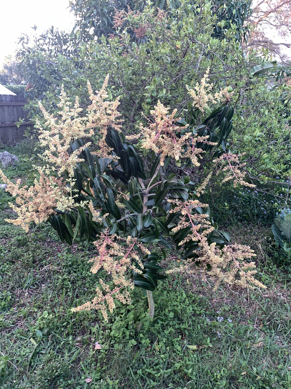 F11F8EE3-7822-4F11-8E78-2700A52C6A06