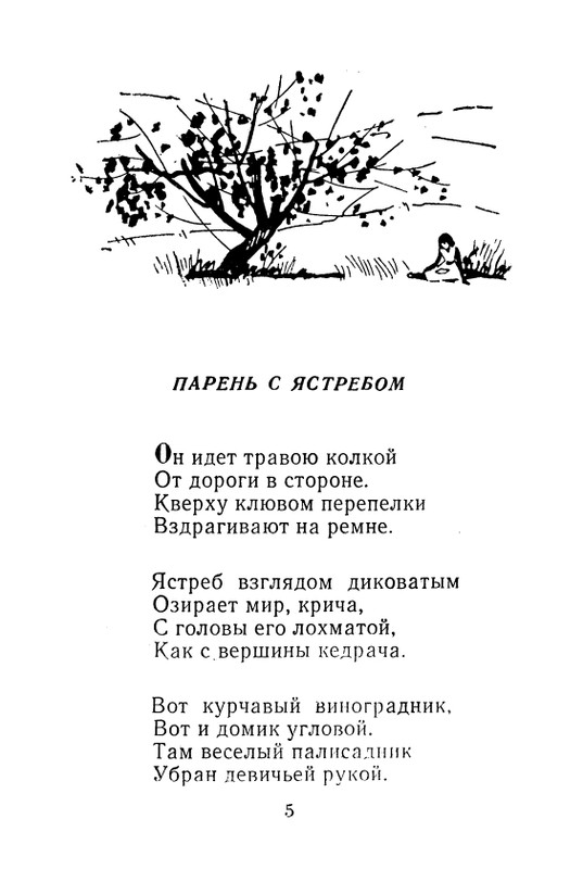 iskander-zeleny-dozhd-page-0007