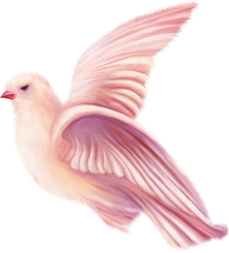 Dove