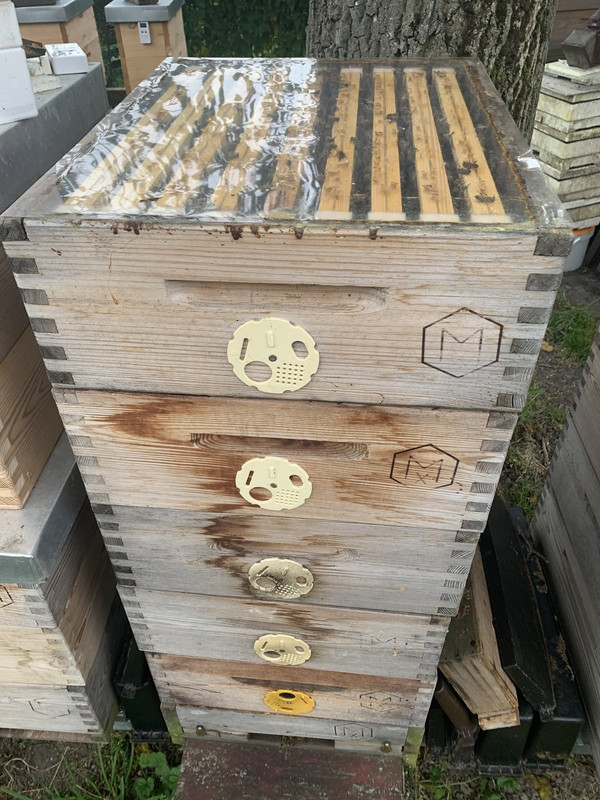 5A81FD80-16FC-4129-921D-0EE56453F2F8