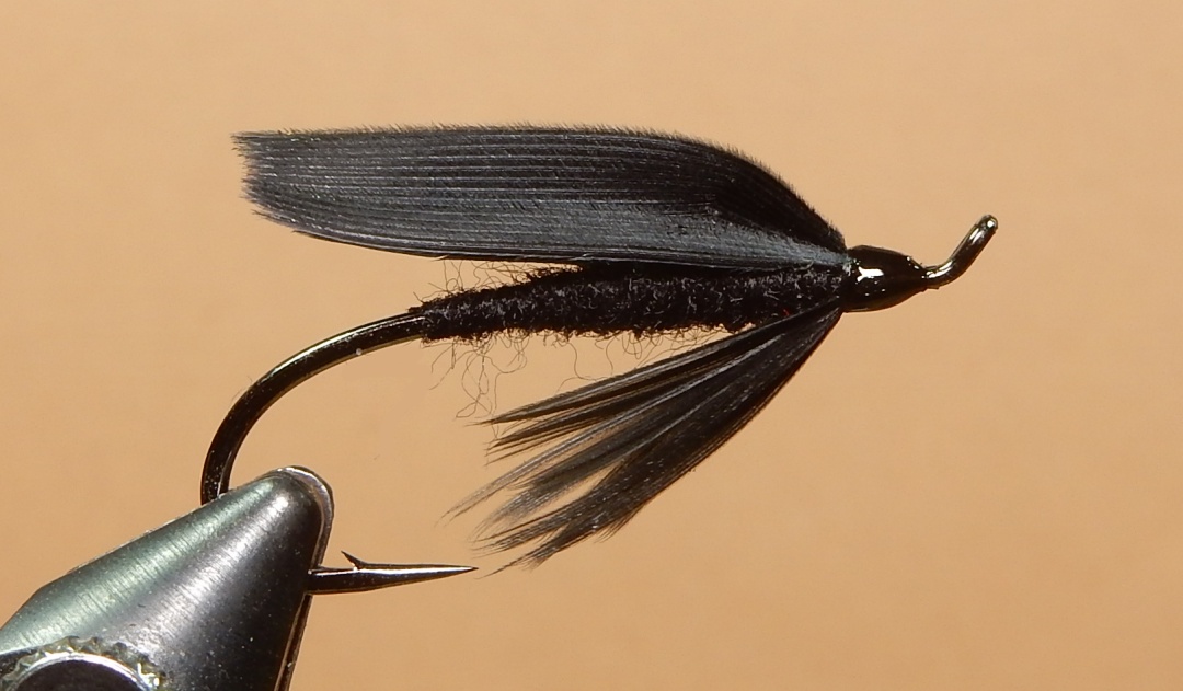 Corneille-1080.jpg