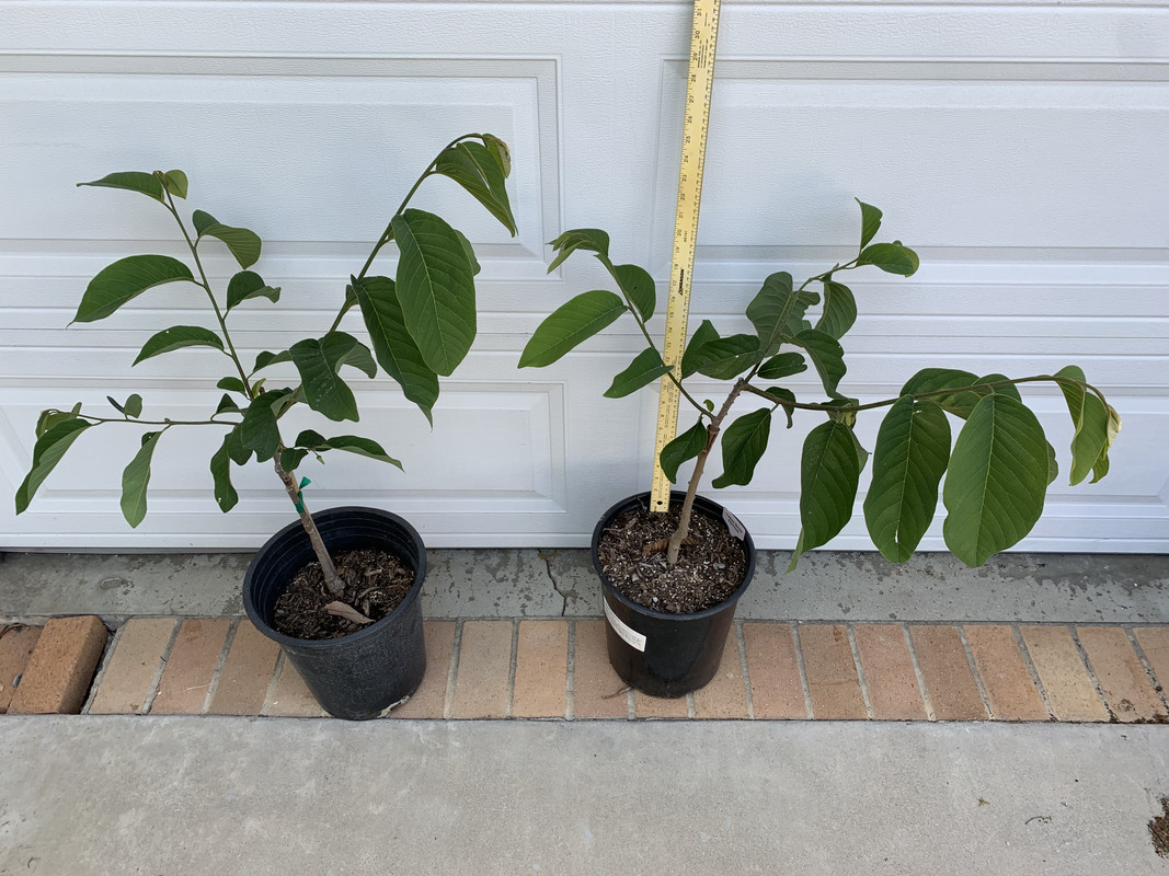 74EE773D-255C-4982-8439-6C5D6A3EF57F