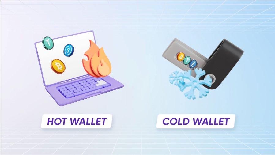 article content image