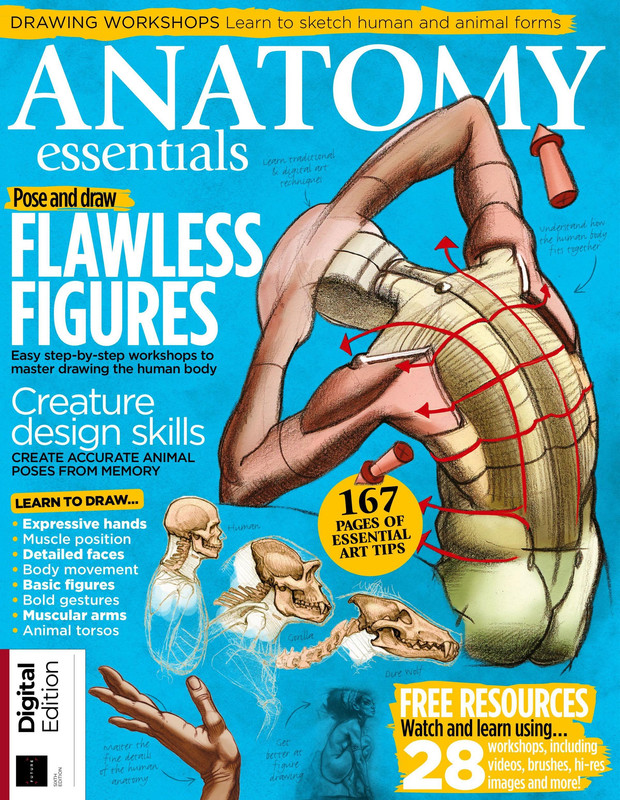 Anatomy Essentials - 6th Edition 2019