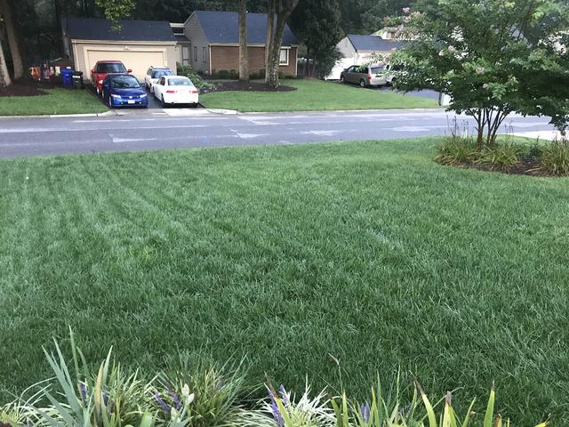 683711C8-EB9A-487C-A156-12A4B05F3E92