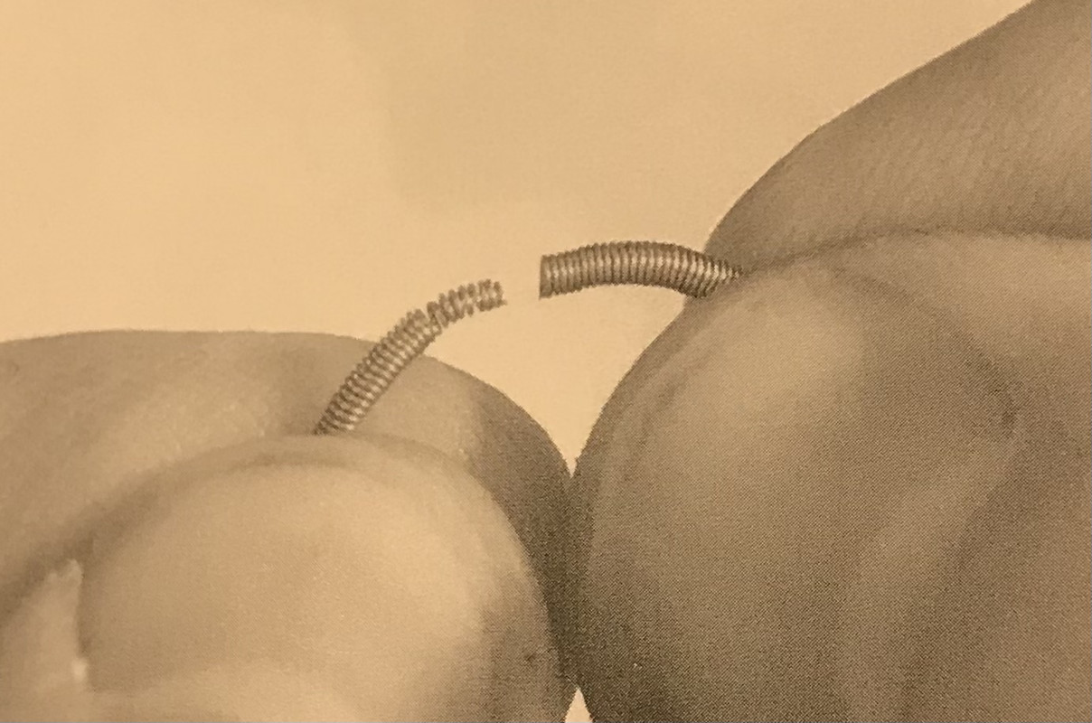 6B00BD75-7326-402D-A94A-39BD216C0D11