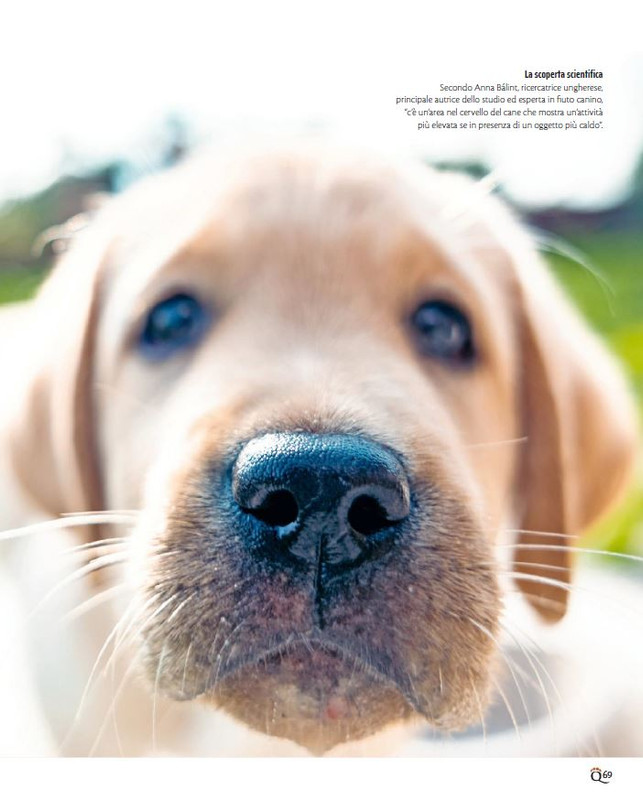 QuattroZampe Set 2023 (8)