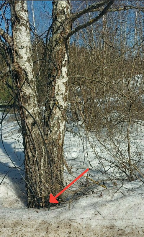 Screenshot 20260325 164455 Vanilla Music