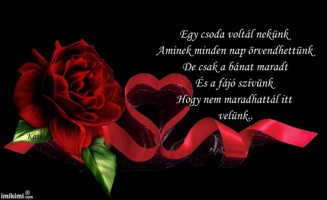 1908492_561926137241137_4084358389118895059_n