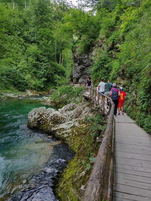 10 días por Eslovenia, Croacia y Bosnia con 3 niños. - Blogs de Europa Oriental - Lunes: Cuevas de Postoina y Skocjan  Castillo de Predjama, Vintgar y lago Bled (14)