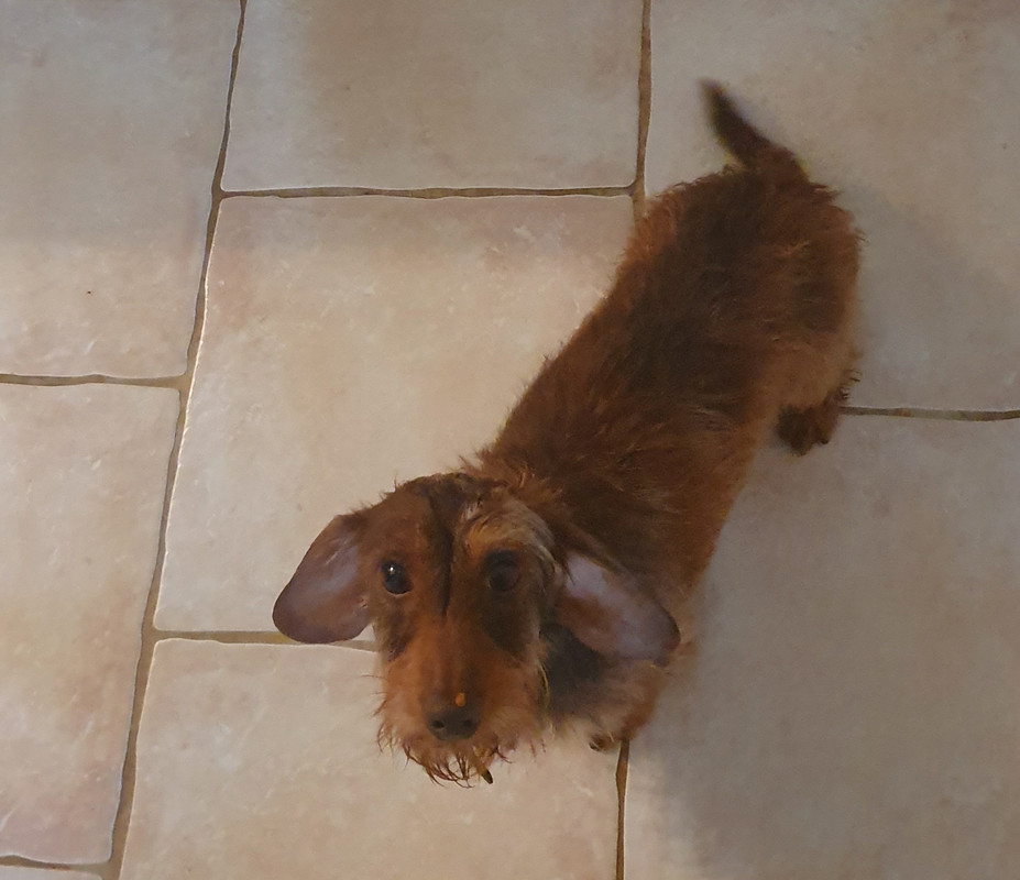 [Image: 20220630-112711.jpg]