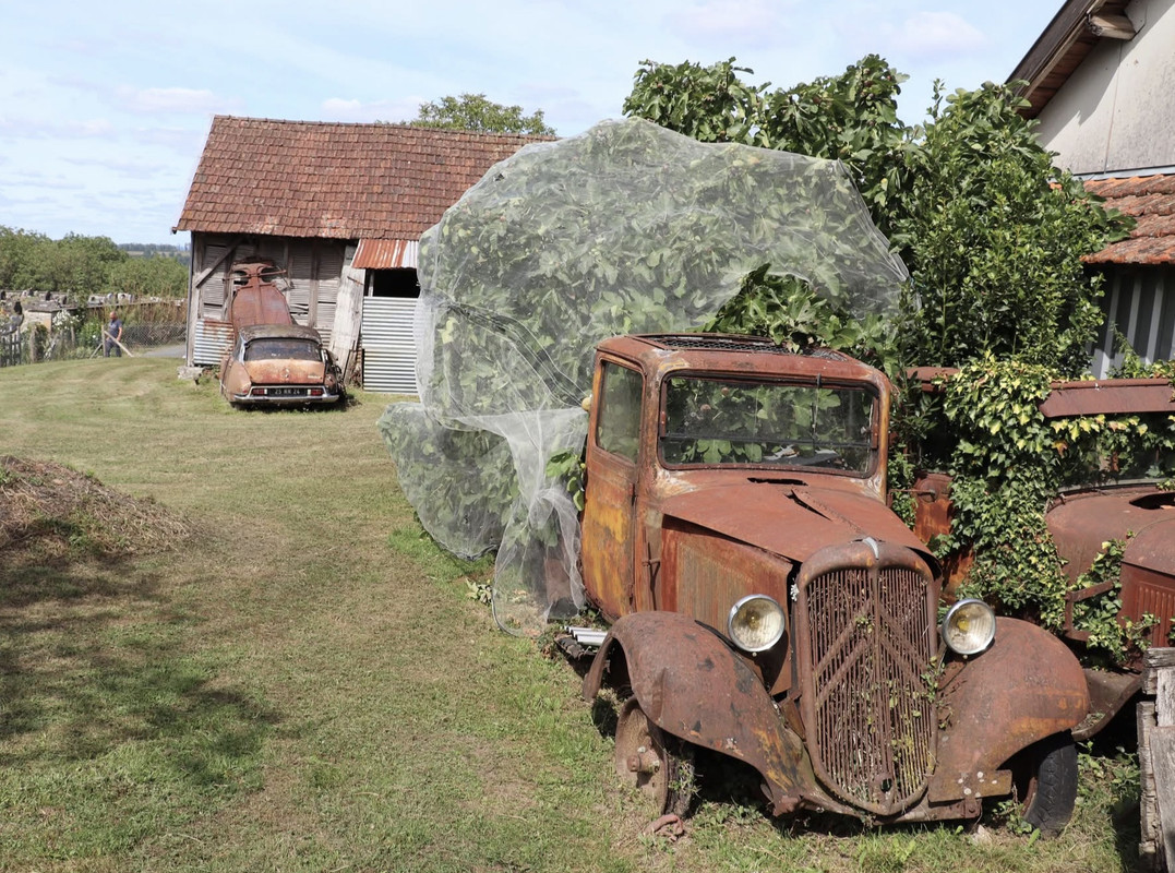 CD20B6EF-849B-43B7-B2A3-B3A0C955368C