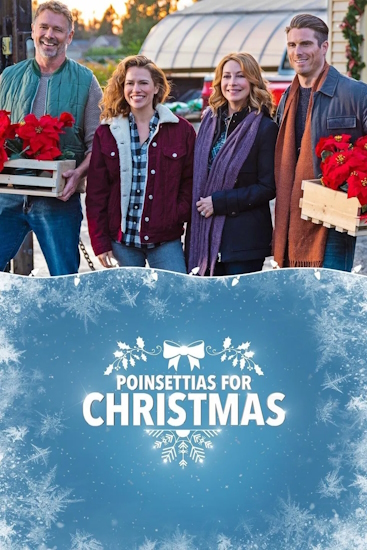 Poinsettias-for-Christmas.jpg