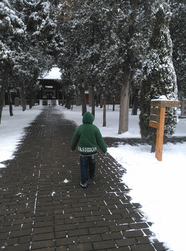 IMG_20140205_110303