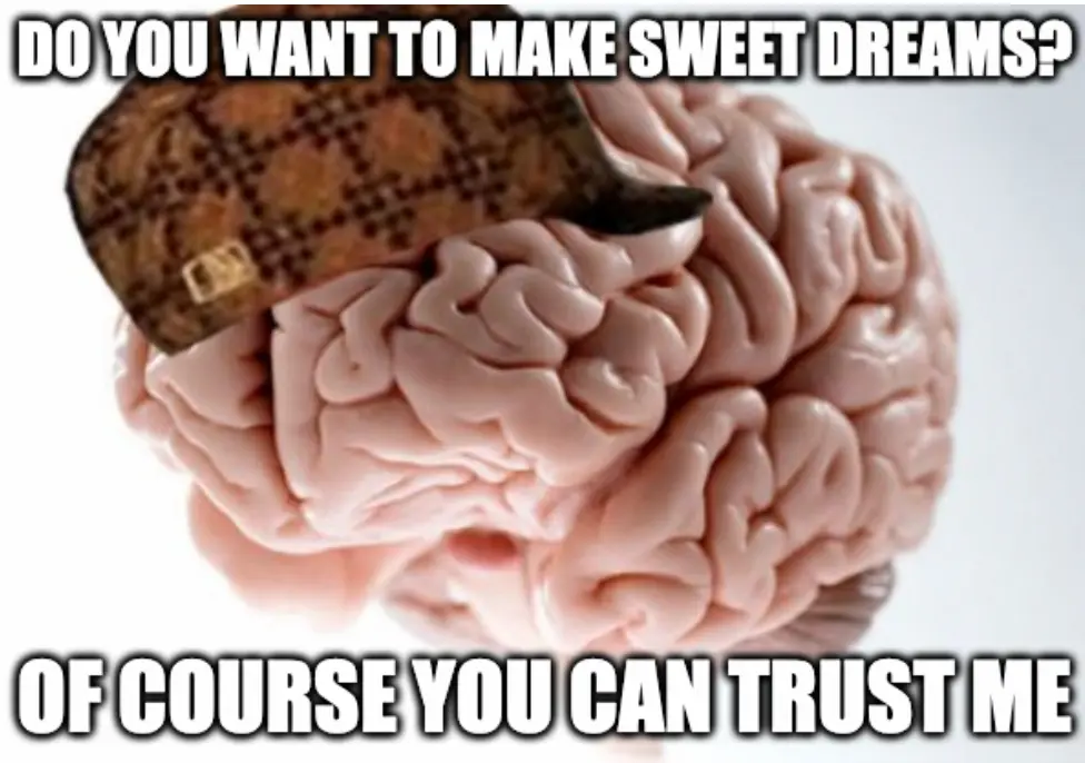 A meme of the scumbag brain. Upper caption says Do you want to make sweet dreams? and the lower one Of course you can trust me.