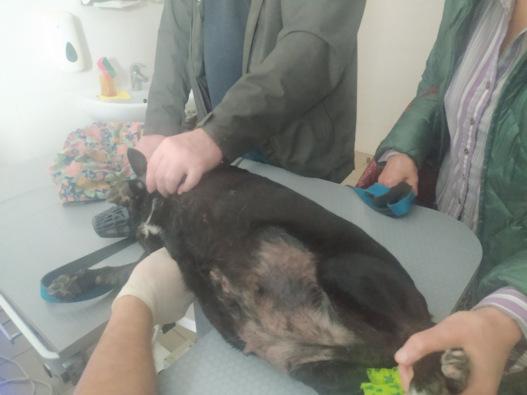 изображение_viber_2021-09-29_14-51-20-043