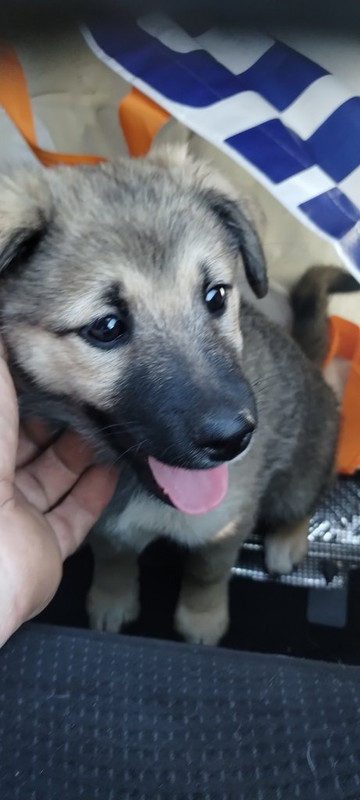 IMG-f3520bbb2f9d04501ede0994e4a349bf-V