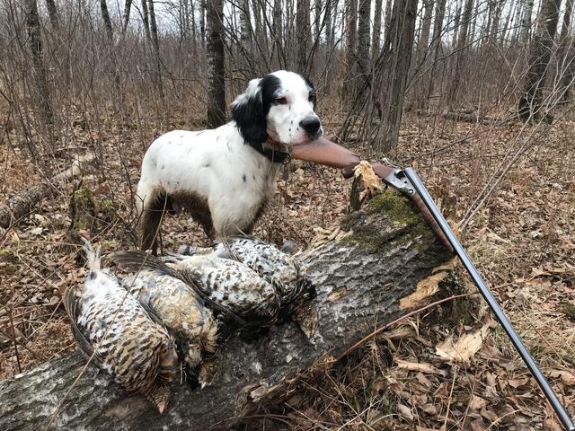 7094A121-B91F-4557-9974-D151045014C0