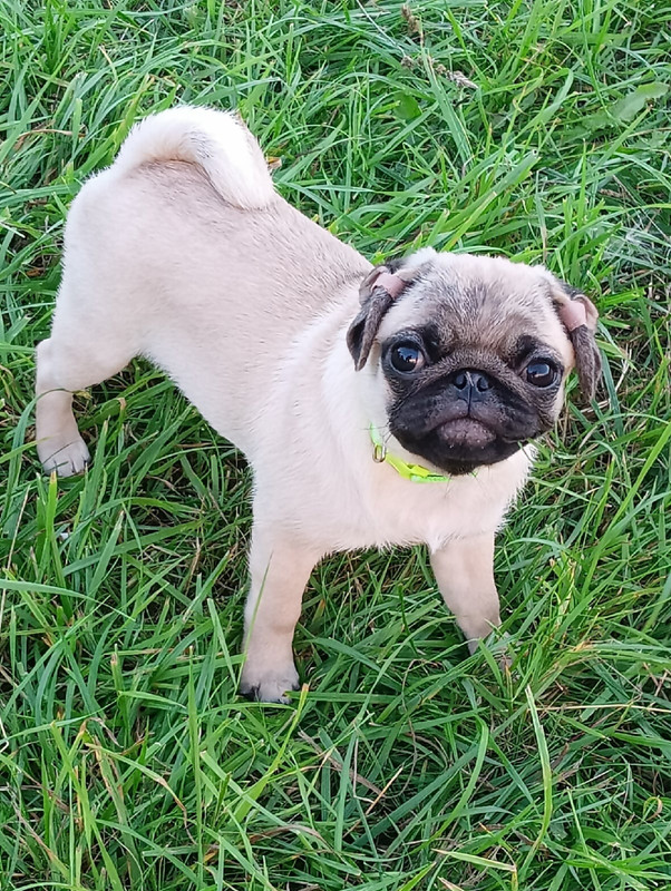 gG1gqBKnpN1wGsK9nqhRf_wHQm9Qu9Dn3qhLHo2ur18CNTqdr3jsGvv9eh9aAfG2jP-3AAI5E5Tiz9179Ow4ivPE