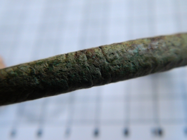 DSCN6559