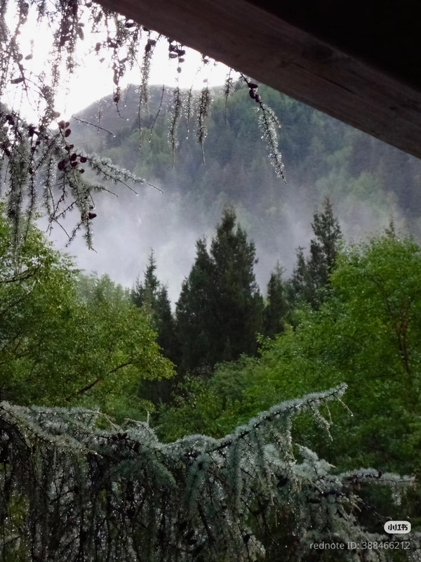 photo 4 2026 01 16 22 03 08