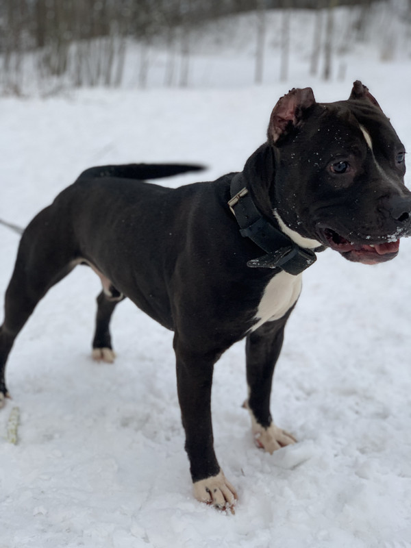 5B7EF5AC-DB27-411B-BA8E-9B2531CDA9E2