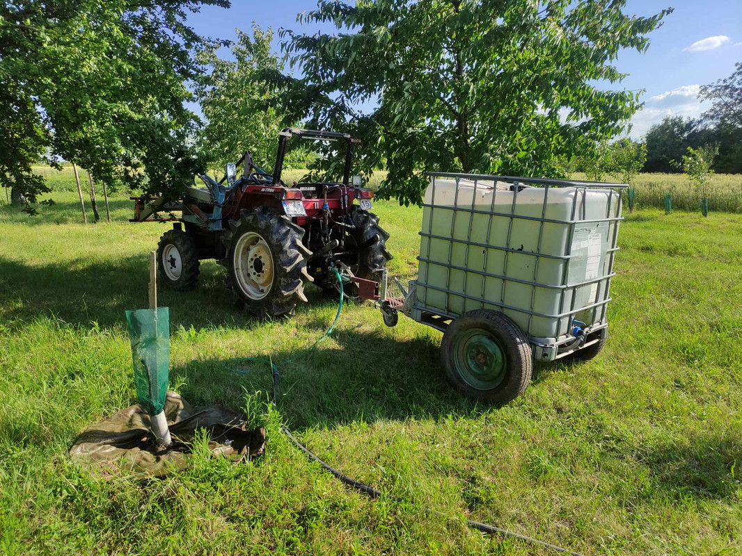 438171728_987244192915130_3374731888817023116_n