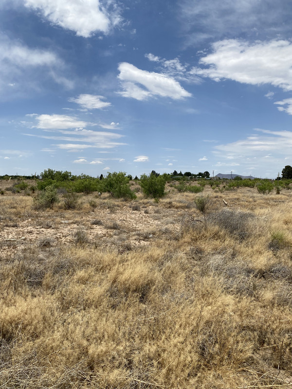 2.5 acre Building Lot within minutes to Deming, NM.  Only $200/month!!