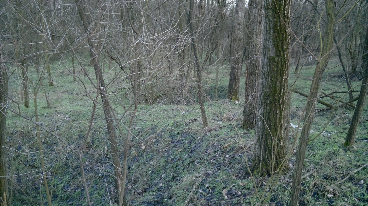 2016-01-14-3592A Kálvária erdőben lévő bombatölcsérek,vagy inkáb