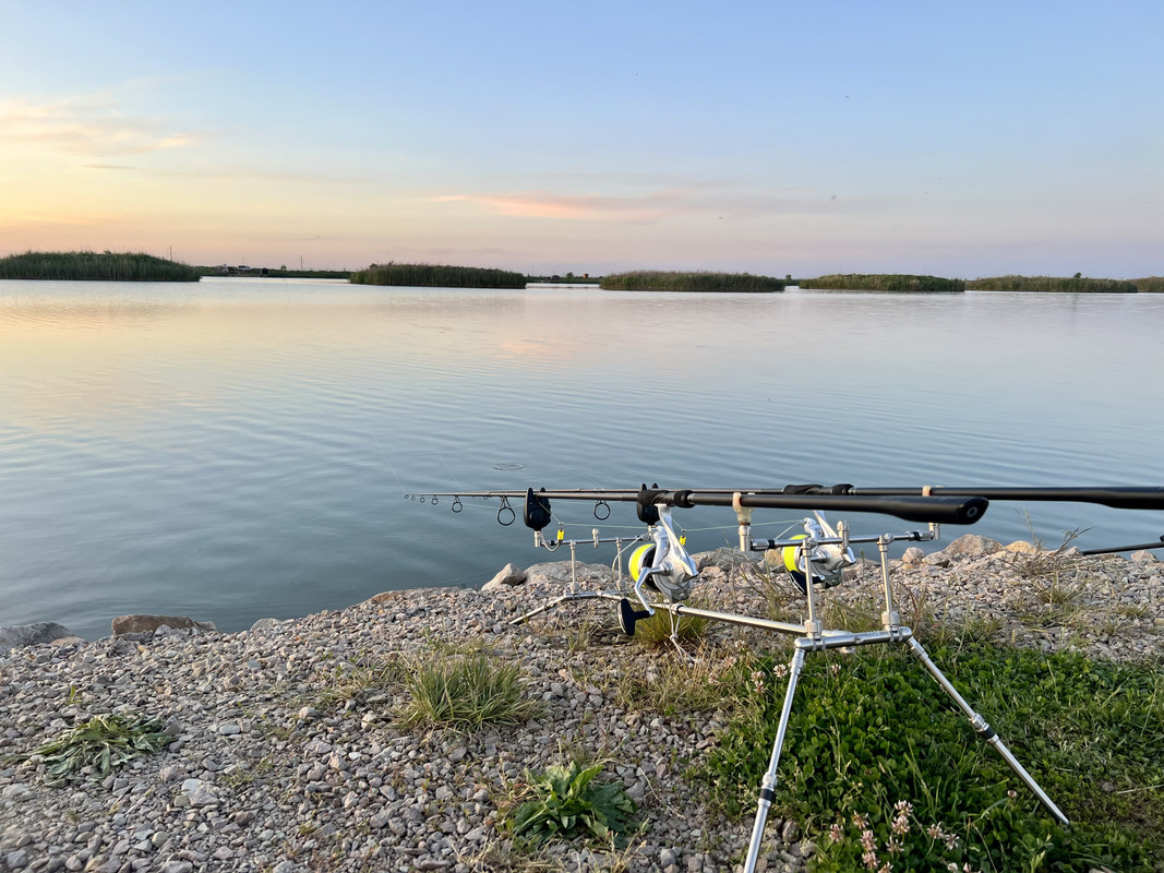 92CB2112-86DD-4462-A11B-13B1F08944E4