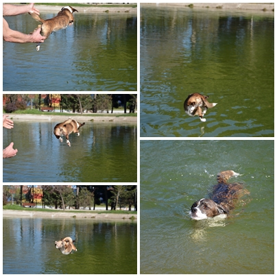 PARQUE ENRIQUE TIERNO GALVAN-2013 AL 2017-MADRID - Paseando por España-1991/2017 (44)