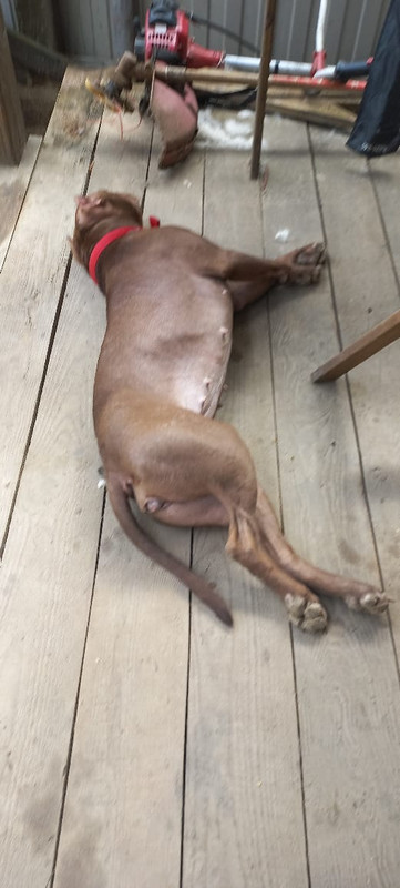 4093F362-7B07-4B12-8C56-5F54BA6F5372