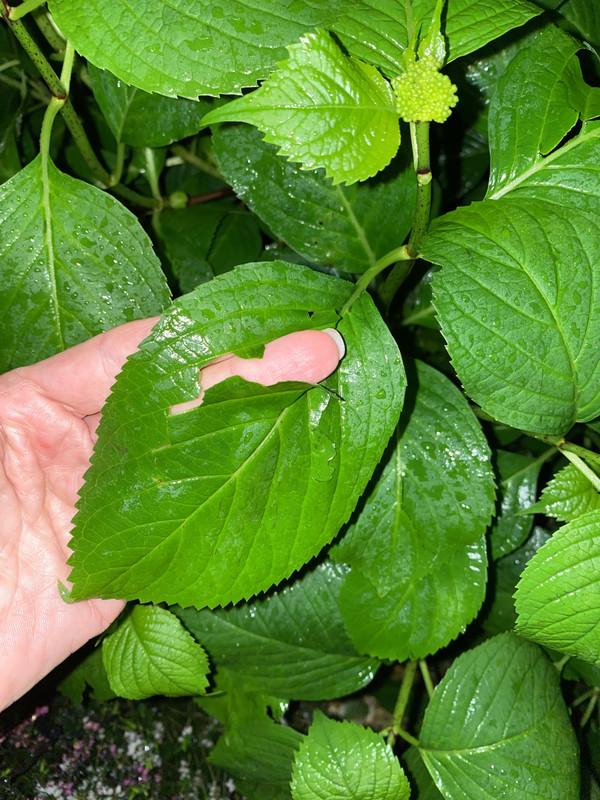 FE8F1F6C-E027-4456-A0B9-D7BB1752D3E8