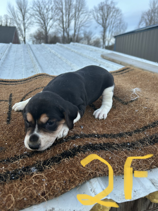 AF4D0509-53E6-4621-85F1-7D9F7477FBC2